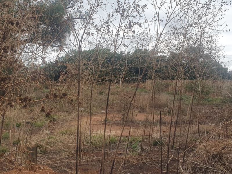 A view of a vacant commercial land plot featuring overgrown vegetation and perimeter fencing.