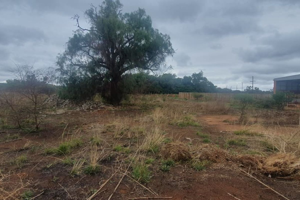 A view of the vacant commercial land featuring natural vegetation, a large mature tree, and perimeter fencing.