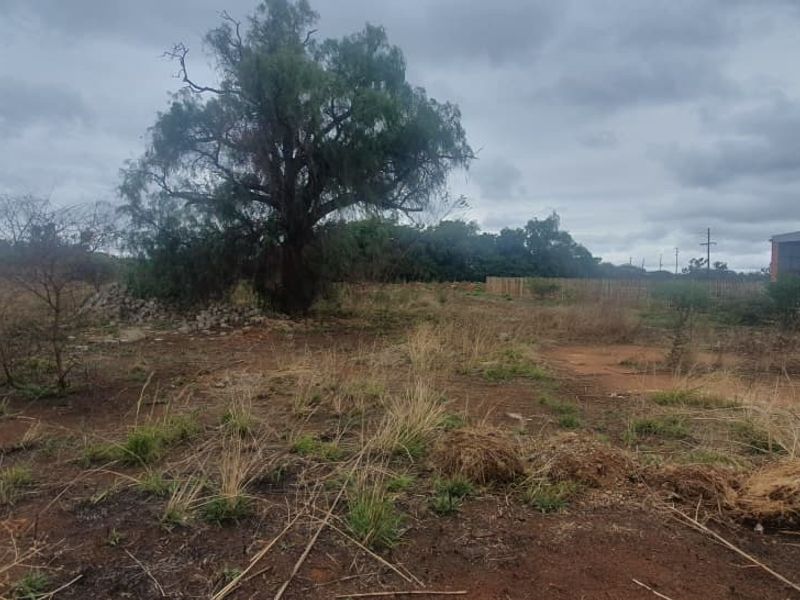 A view of the vacant commercial land featuring natural vegetation, a large mature tree, and perimeter fencing.