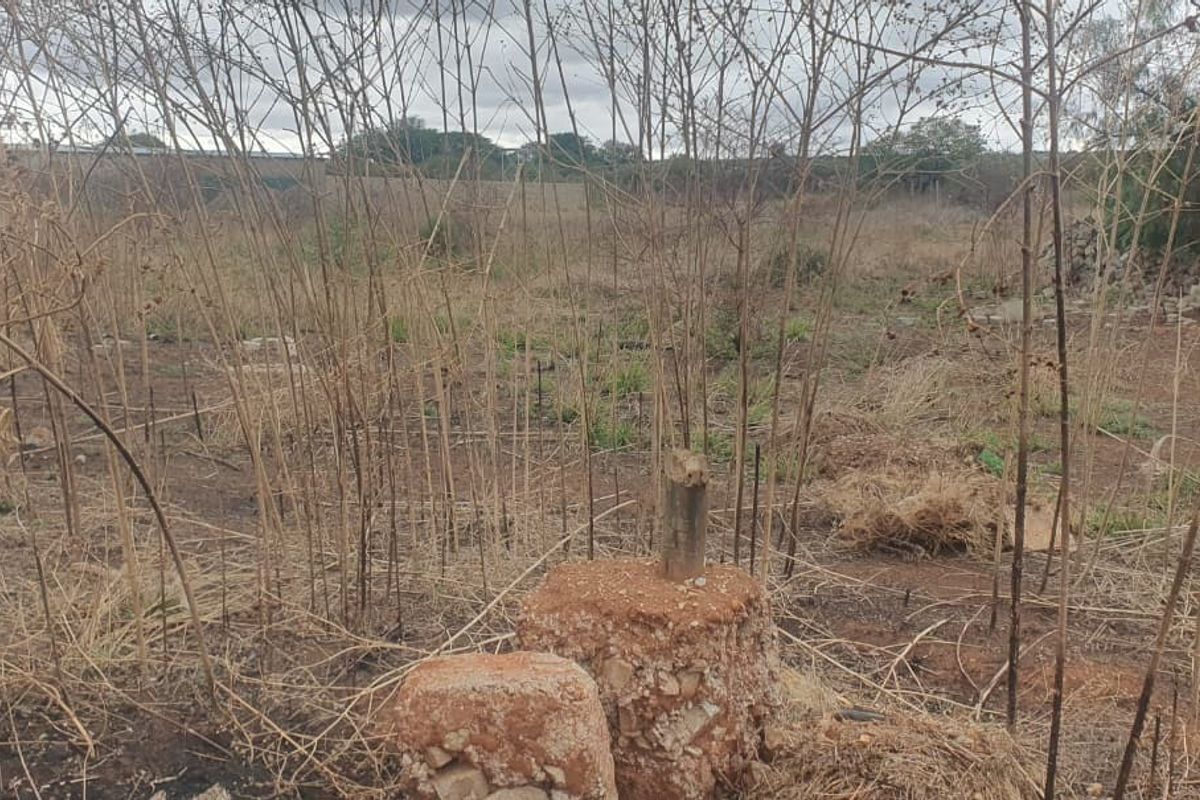 A view of a vacant commercial land plot featuring dry vegetation and a concrete survey marker on the property.