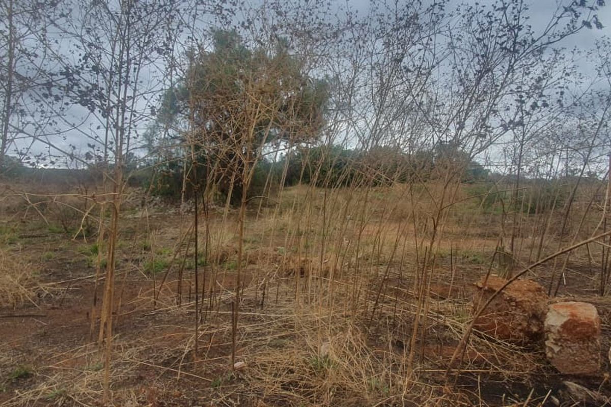 A view of the vacant commercial land featuring dry, overgrown vegetation and natural terrain.