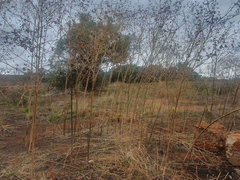 A view of the vacant commercial land featuring dry, overgrown vegetation and natural terrain.