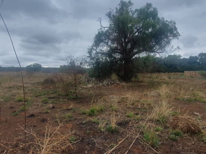 A view of a vacant commercial plot featuring natural vegetation, a mature tree, and perimeter fencing.