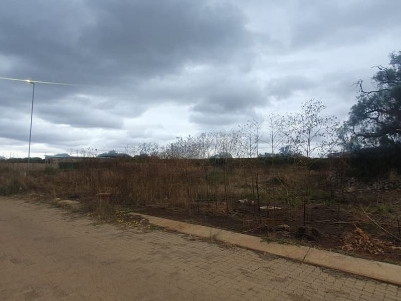 A street-level view of a vacant commercial plot featuring paved road access, concrete curbing, and existing street lighting infrastructure.