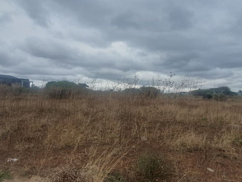 A view of a vacant commercial land plot featuring dry, overgrown vegetation under an overcast sky.