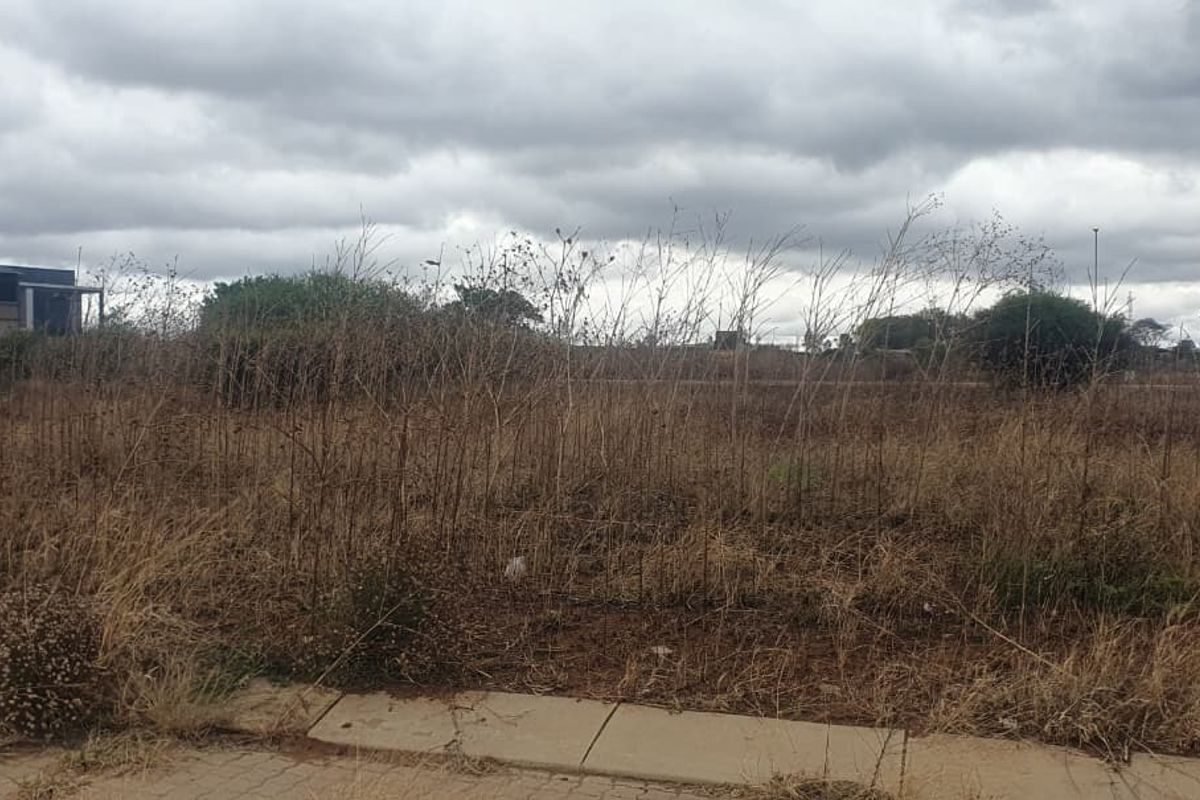 A view of a vacant commercial land plot featuring overgrown dry vegetation and an adjacent paved sidewalk.