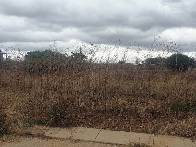 A view of a vacant commercial land plot featuring overgrown dry vegetation and an adjacent paved sidewalk.