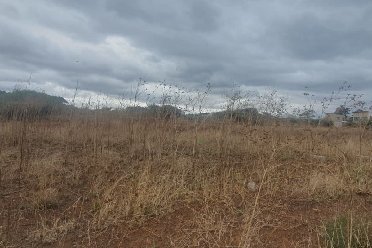 A view of a vacant commercial land plot featuring dry vegetation and open space under an overcast sky.