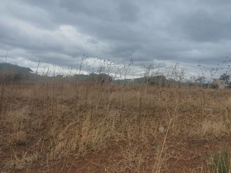 A view of a vacant commercial land plot featuring dry vegetation and open space under an overcast sky.