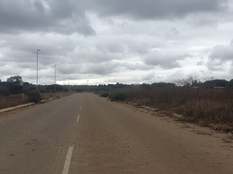 A view of a paved commercial access road with street lighting and utility infrastructure, surrounded by undeveloped land.