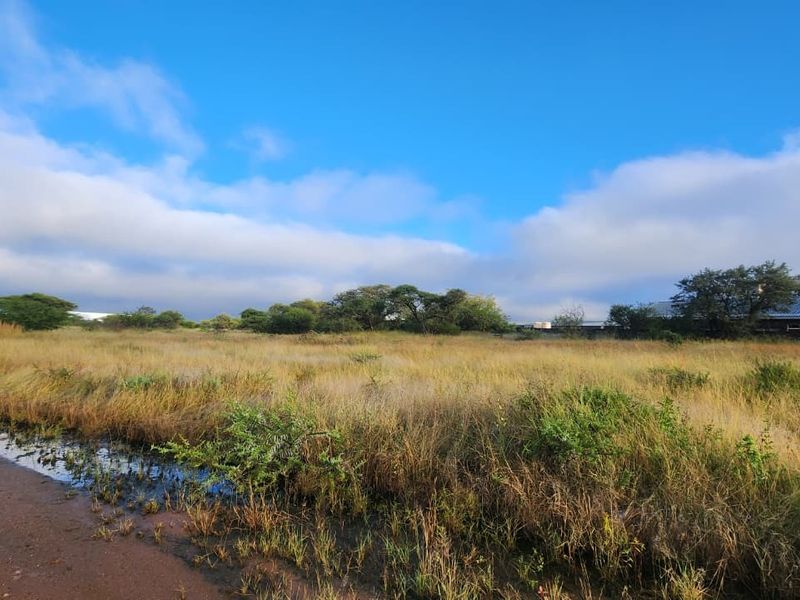 A view of a vacant commercial land plot featuring natural vegetation and a dirt access path under a clear blue sky.