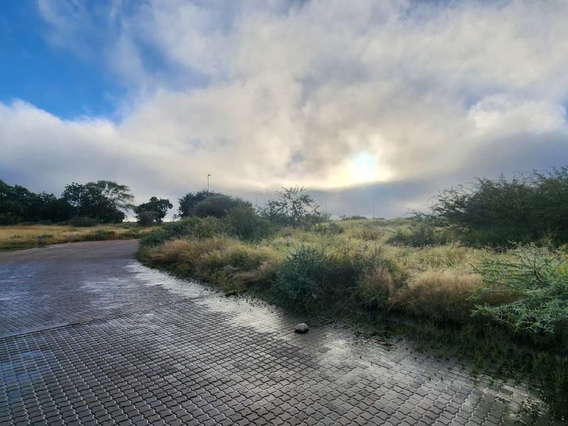 A view of a vacant commercial land plot featuring a paved driveway and natural vegetation under a cloudy sky.
