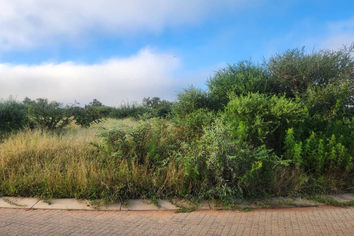A view of a vacant commercial land plot featuring natural vegetation and a paved street frontage.