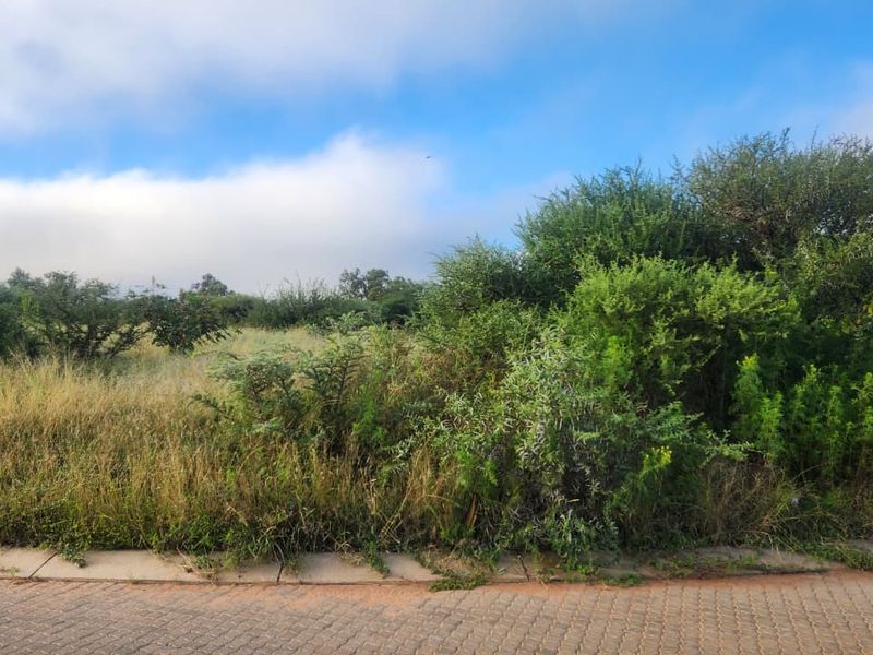 A view of a vacant commercial land plot featuring natural vegetation and a paved street frontage.