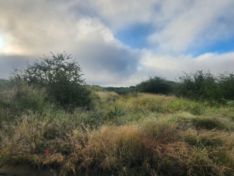 A view of the undeveloped commercial land featuring natural vegetation and open space.