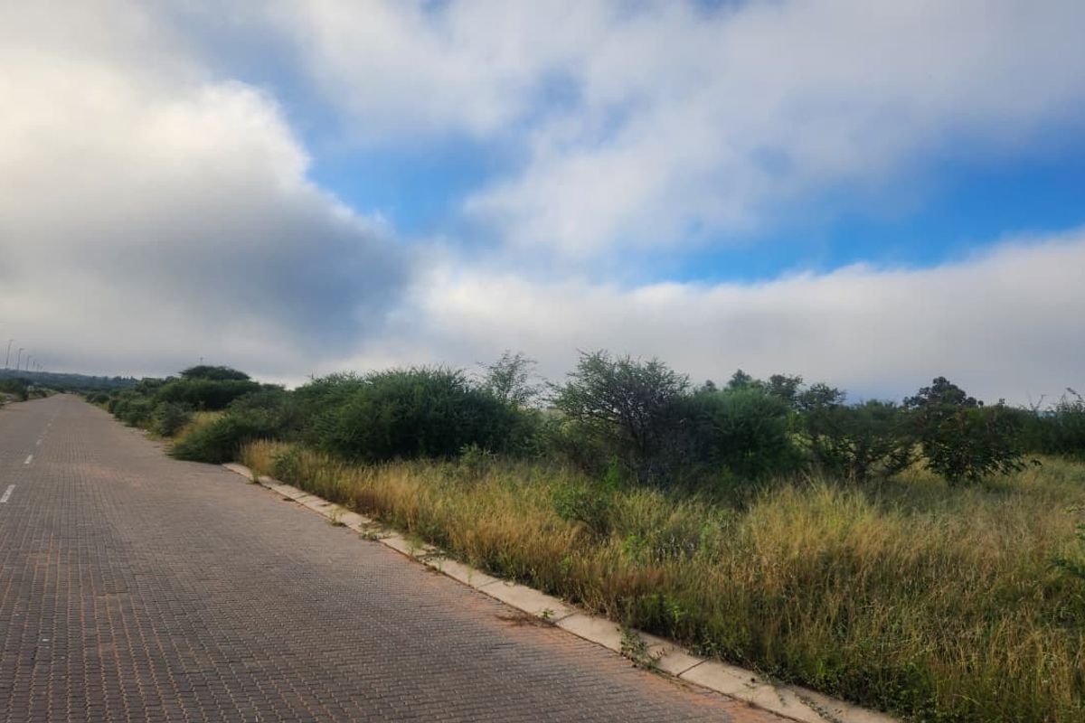 A view of the paved road and concrete curbing adjacent to the vacant commercial land.