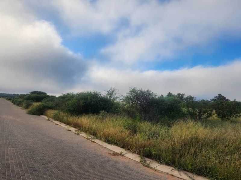 A view of the paved road and concrete curbing adjacent to the vacant commercial land.