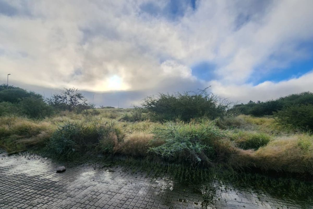 A view of an undeveloped commercial land plot featuring a paved driveway and natural vegetation under a cloudy sky.