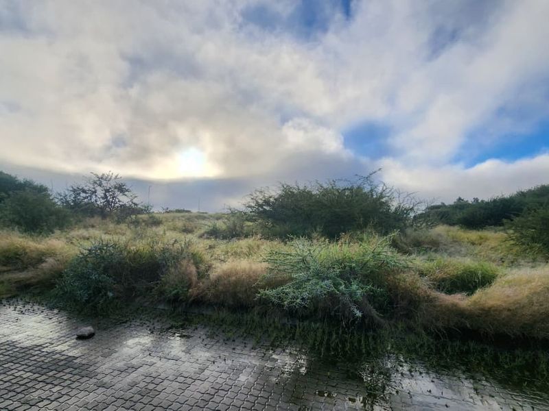 A view of an undeveloped commercial land plot featuring a paved driveway and natural vegetation under a cloudy sky.
