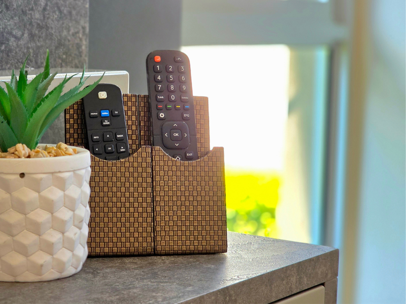 A close-up shot of a surface with a remote control holder and a decorative plant.