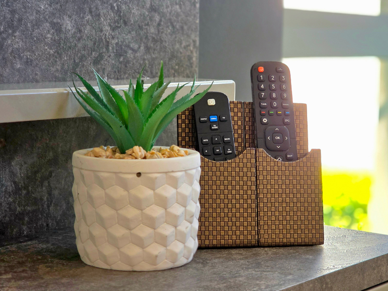 A close-up shot of a decorative plant and remote control holder on a surface, providing no significant architectural information about the property.