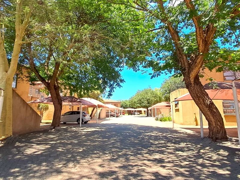 Exterior view of an apartment complex driveway featuring paved surfaces, mature trees, and covered carport parking bays.