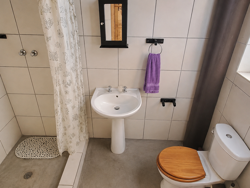 A functional bathroom featuring a pedestal basin, toilet, and a shower area with tiled walls and a concrete floor.