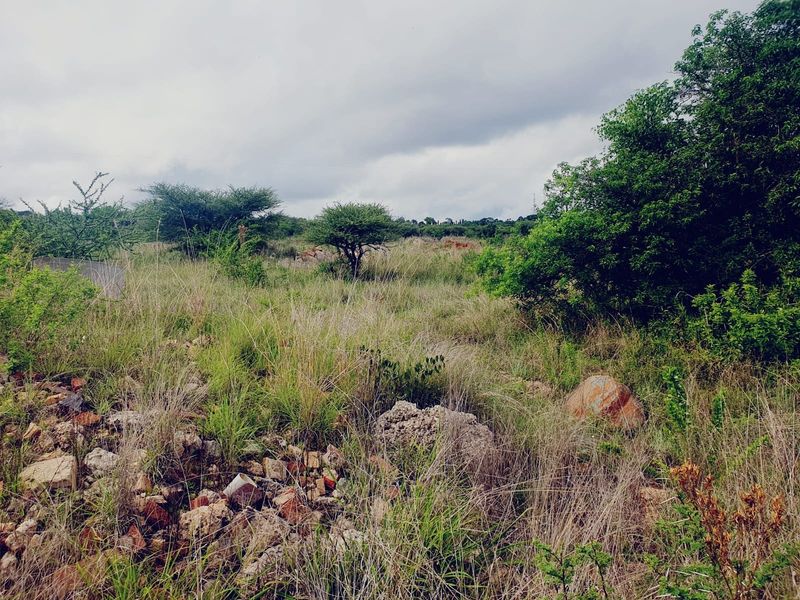 BUILD YOUR DREAM HOME IN STERPARK EXT 11 - Photo 8