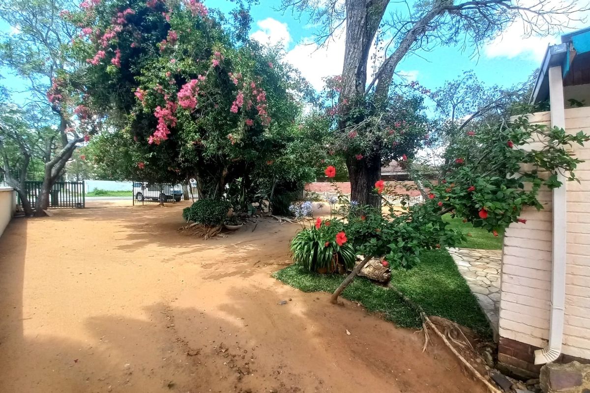 A spacious outdoor garden area featuring mature trees, flowering shrubs, and a mix of sandy ground and paved pathways.
