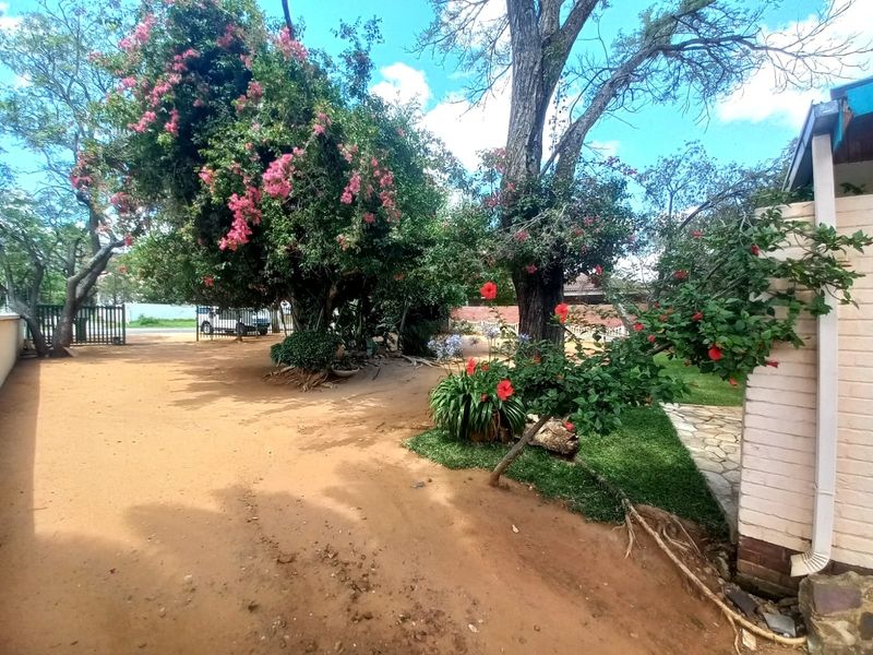 A spacious outdoor garden area featuring mature trees, flowering shrubs, and a mix of sandy ground and paved pathways.