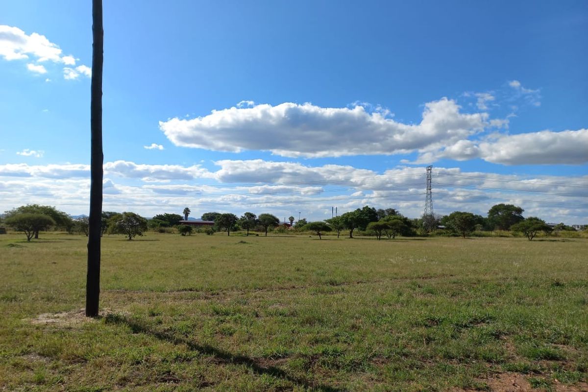 A wide, open plot of vacant residential land featuring natural grass cover and scattered indigenous trees under a clear blue sky.