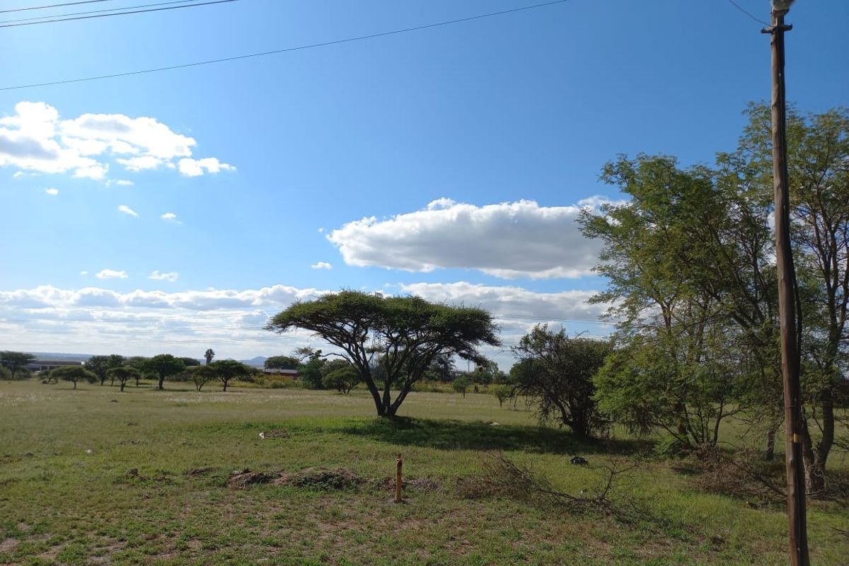 A view of a vacant residential plot featuring natural vegetation, mature trees, and an overhead utility pole.