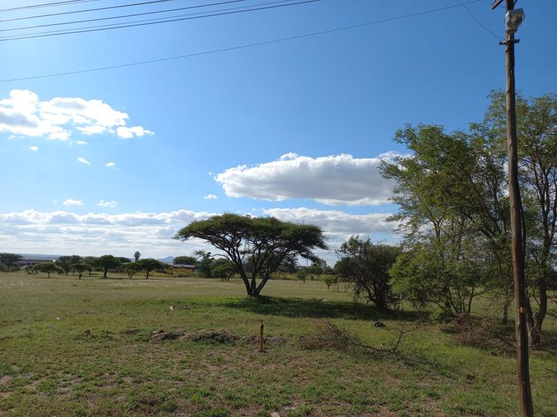 A view of a vacant residential plot featuring natural vegetation, mature trees, and an overhead utility pole.