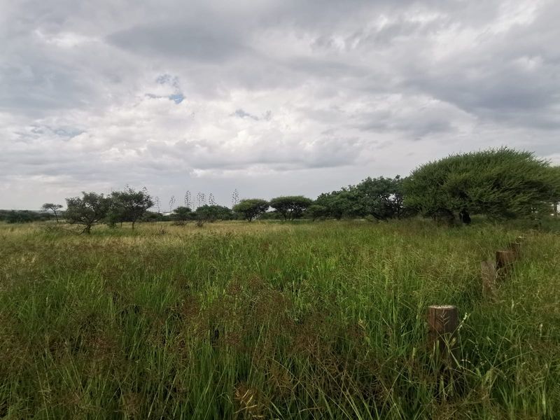 A view of a vacant residential plot featuring natural grassland and mature indigenous trees, enclosed by simple wooden post fencing.