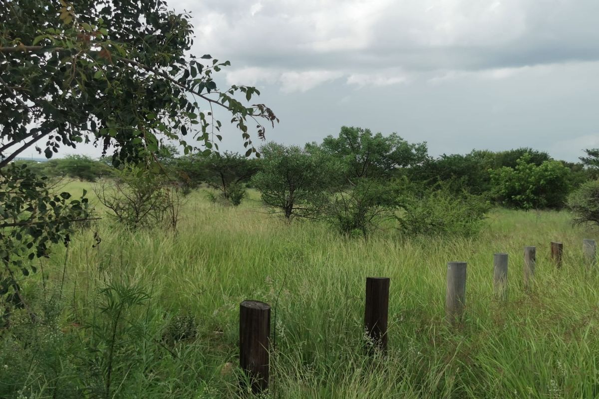 A view of a vacant residential plot featuring natural grass, indigenous trees, and a line of wooden boundary posts.