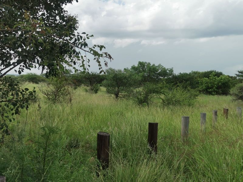 A view of a vacant residential plot featuring natural grass, indigenous trees, and a line of wooden boundary posts.