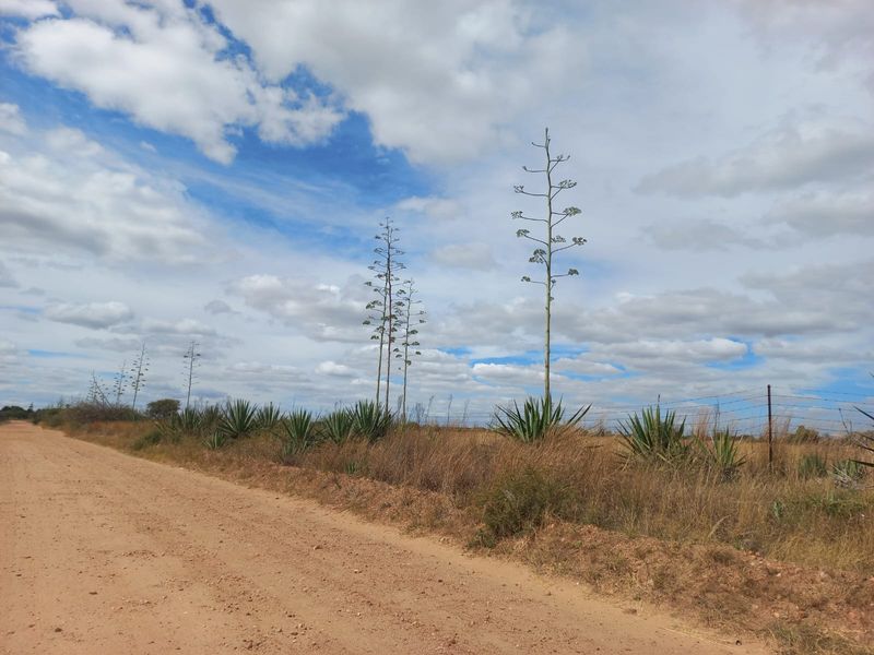 A view of the farm property featuring a dirt access road, natural vegetation, and perimeter wire fencing under a cloudy sky.