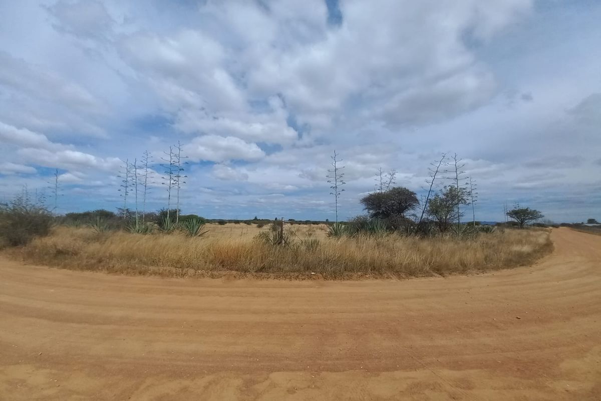 A view of the expansive farm landscape featuring a dirt road and natural vegetation under a cloudy sky.