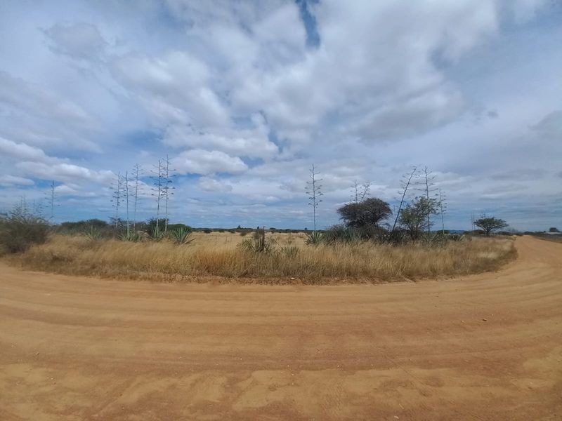 A view of the expansive farm landscape featuring a dirt road and natural vegetation under a cloudy sky.