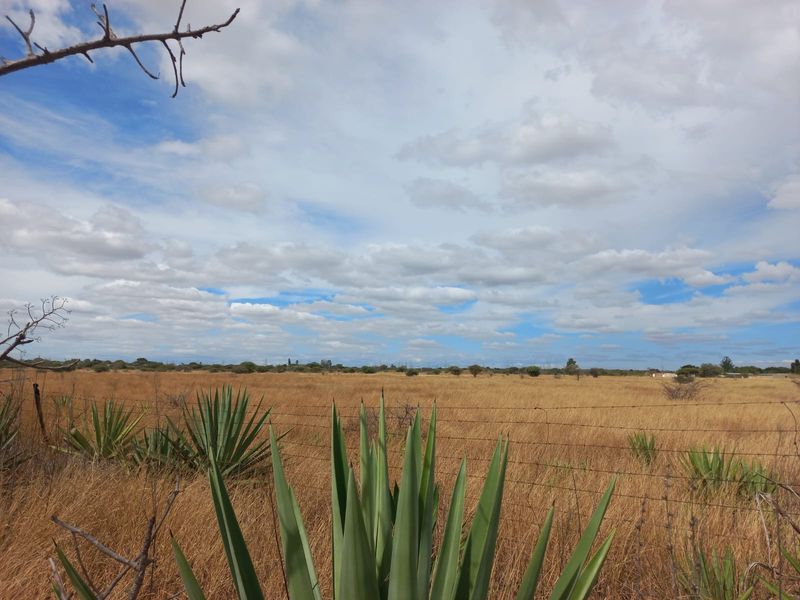 Expansive view of the open farm landscape featuring dry grassland and natural vegetation, enclosed by a wire fence.