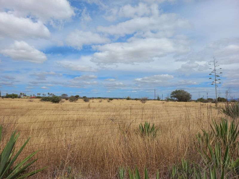 Expansive open farm land featuring dry grass fields, enclosed by traditional wire fencing under a clear blue sky.