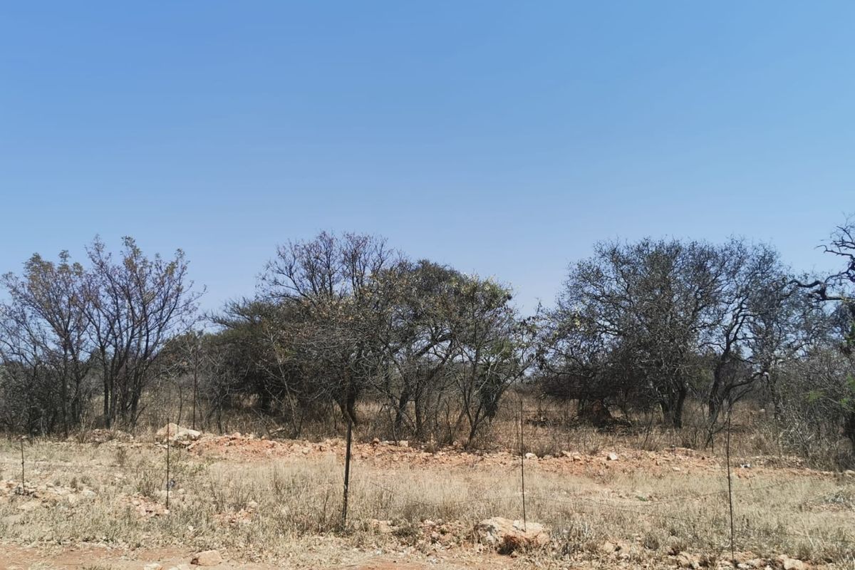 A view of a vacant residential plot featuring natural vegetation, dry grass, and scattered trees under a clear blue sky.