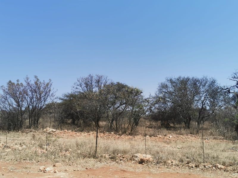 A view of a vacant residential plot featuring natural vegetation, dry grass, and scattered trees under a clear blue sky.