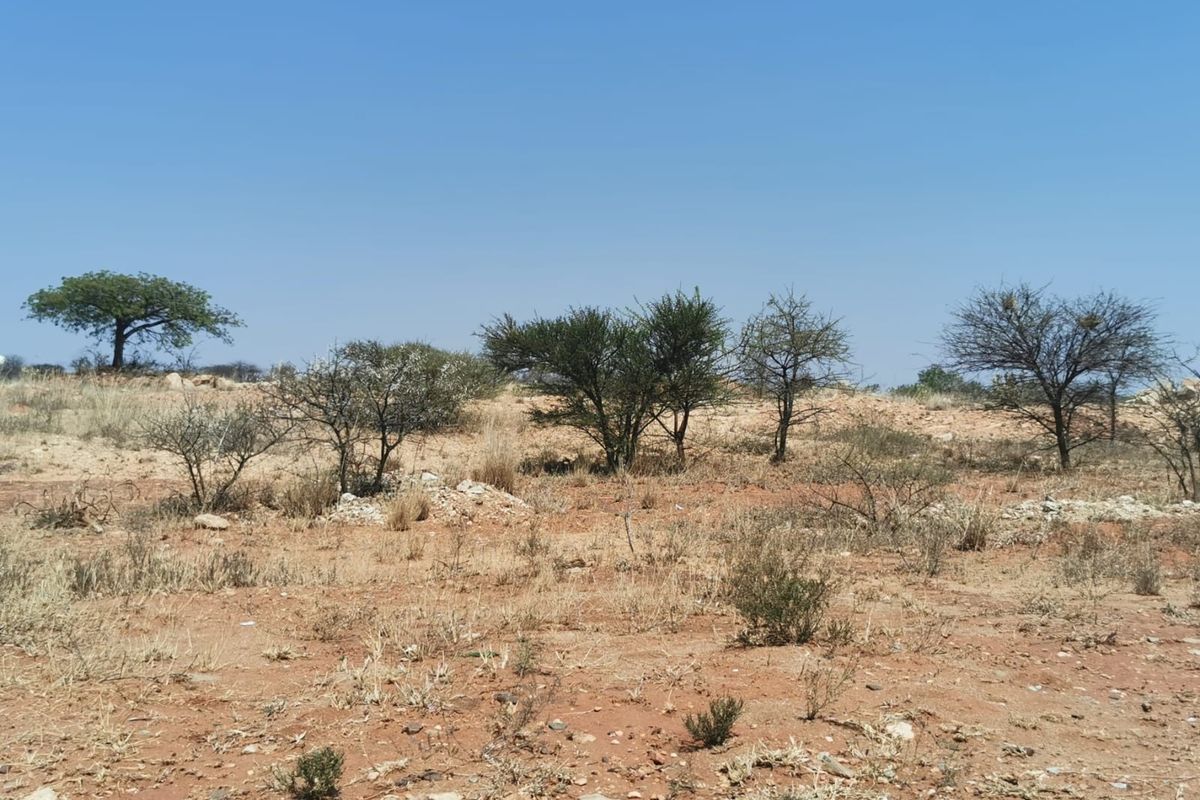 A view of the vacant residential land featuring natural terrain, native shrubs, and scattered trees under a clear blue sky.