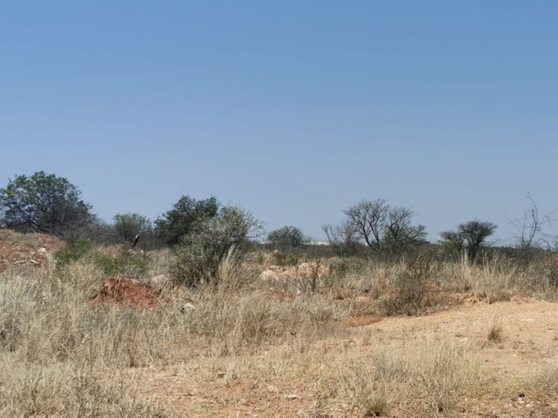 A view of a vacant residential plot featuring natural dry grass, shrubs, and scattered trees under a clear blue sky.