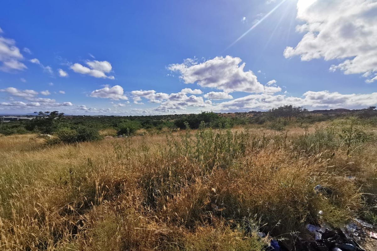 Build your own Housing Estate in Bendor - Photo 4