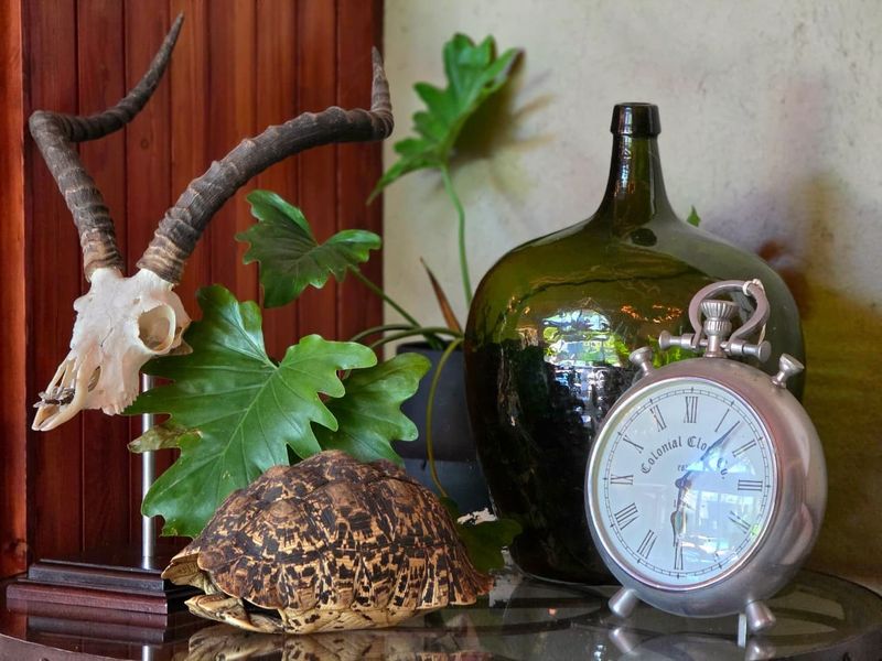A close-up view of decorative items displayed on a surface, featuring wood paneling and a textured wall finish.