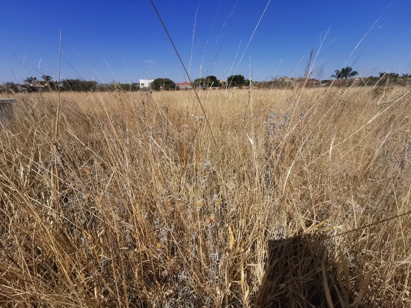 Prime Development Opportunity in Bendor, Polokwane: Residential Land with Potential for 23 Units. - Photo 6