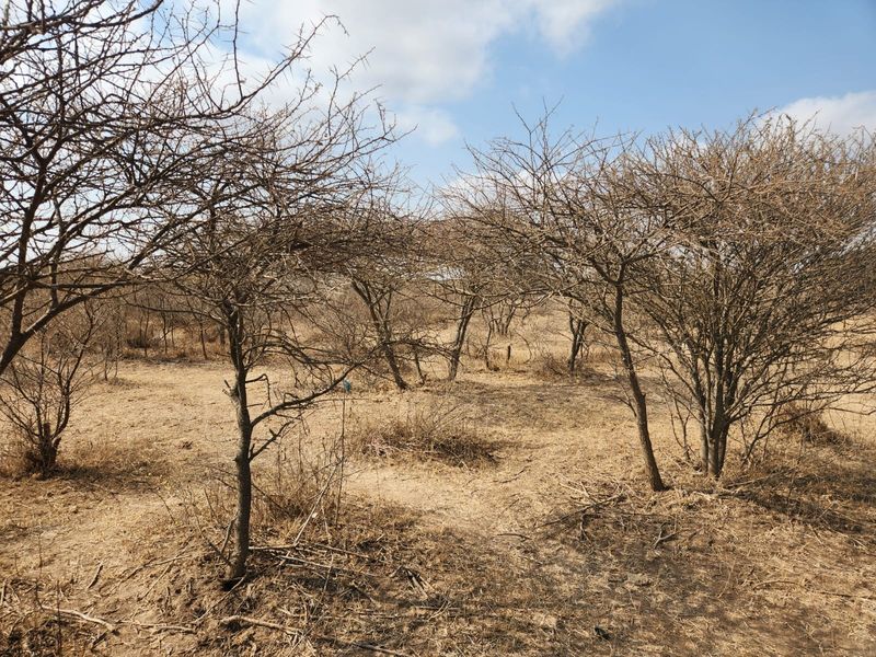 10 Hectares of Prime Land in Doornbult – Your Dream Opportunity Awaits! - Photo 7