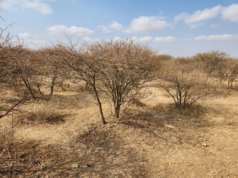 10 Hectares of Prime Land in Doornbult – Your Dream Opportunity Awaits! - Photo 8